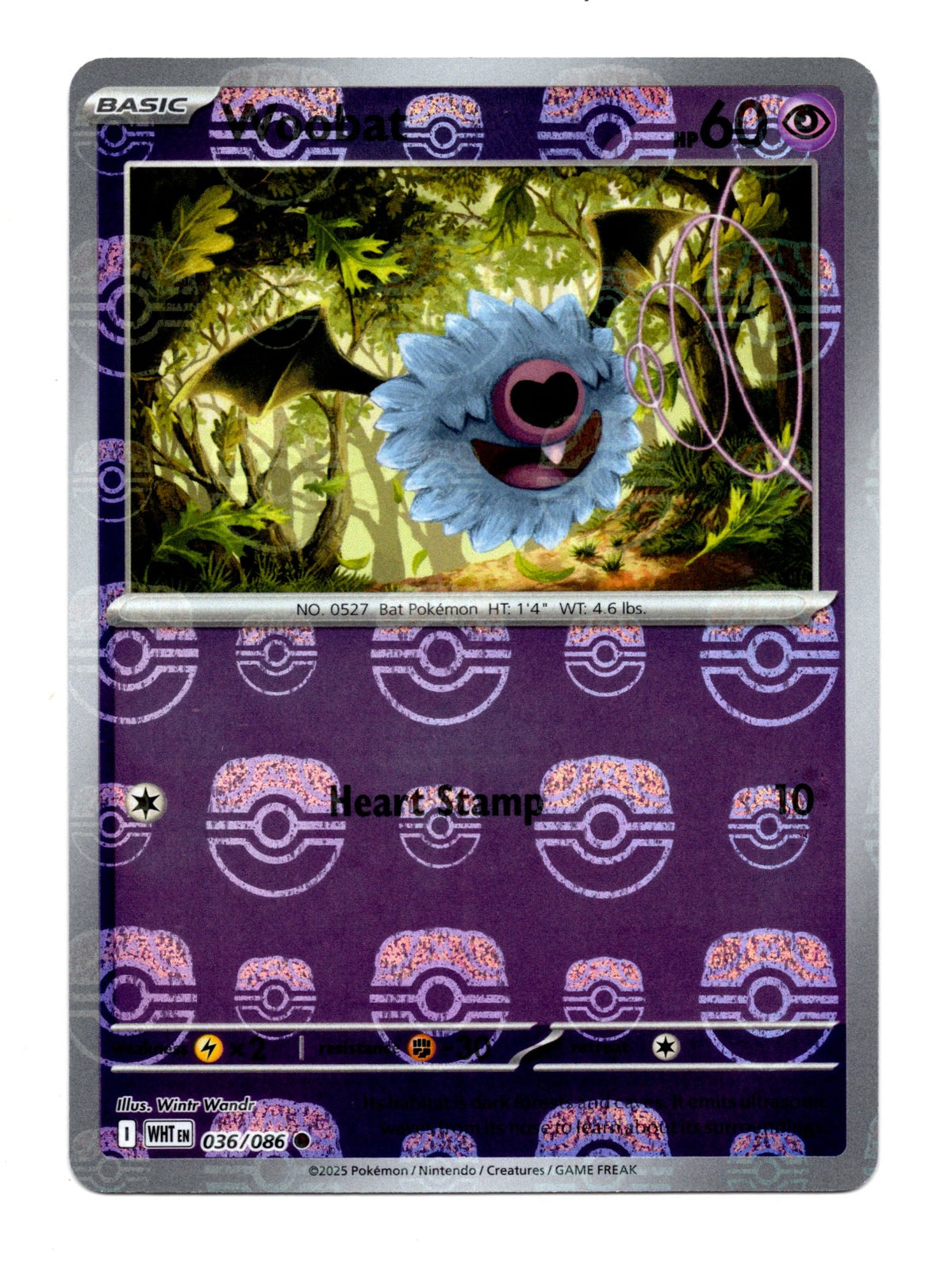 Chaos Sort CS-0318-031: forside