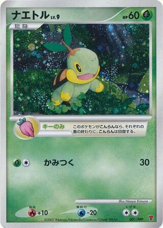 Turtwig - PPP Promos