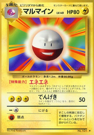 Electrode No. 040 - Expansion Pack