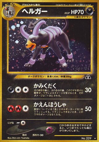 Houndoom No. 041 - Crossing the Ruins...