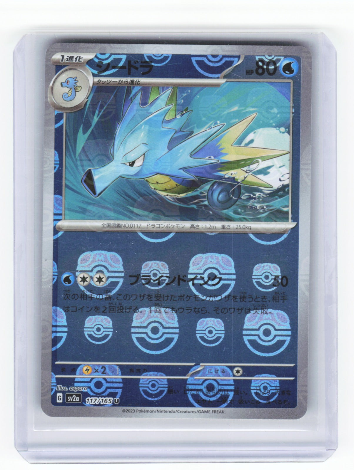 Chaos Sort CS-0335-019: forside