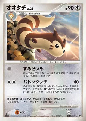 Furret No. 105 - Shining Darkness