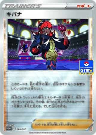 Raihan - Sword & Shield Promos