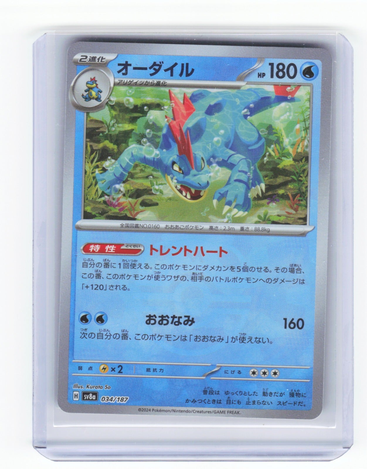Chaos Sort CS-0335-003: forside