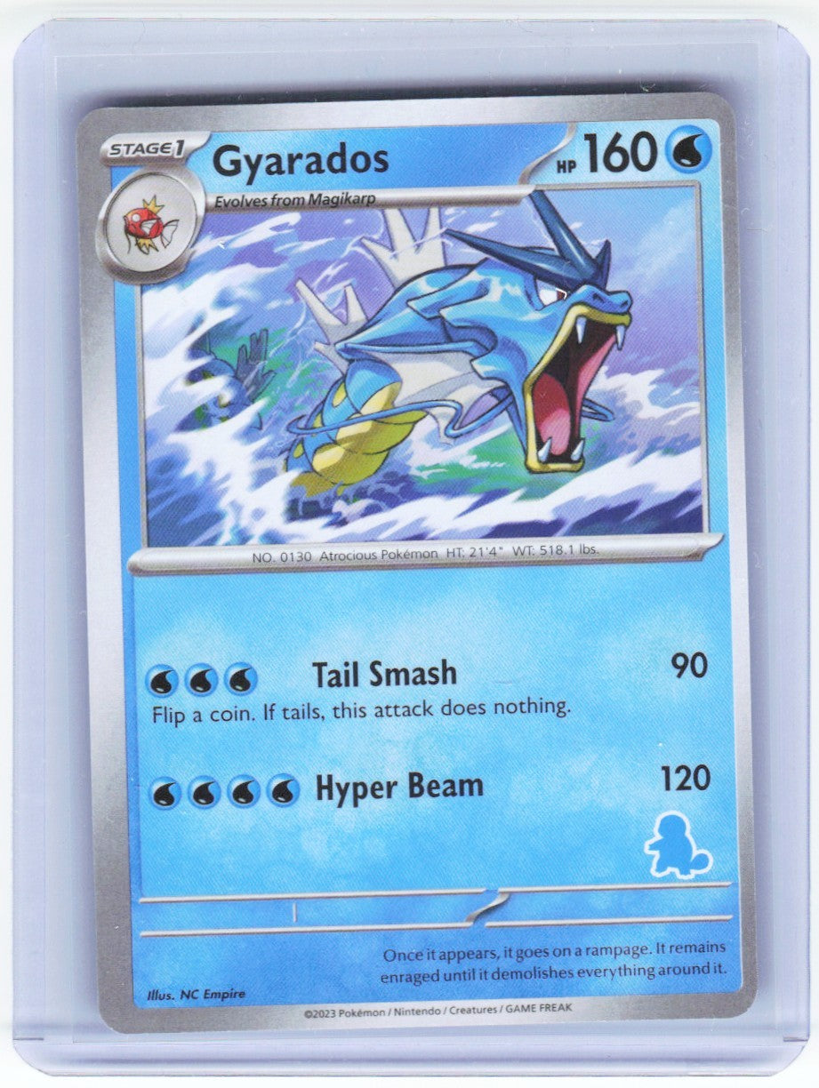 Chaos Sort CS-0408-003: forside
