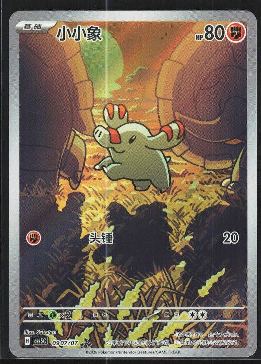 Chaos Sort CS-0600-010: forside