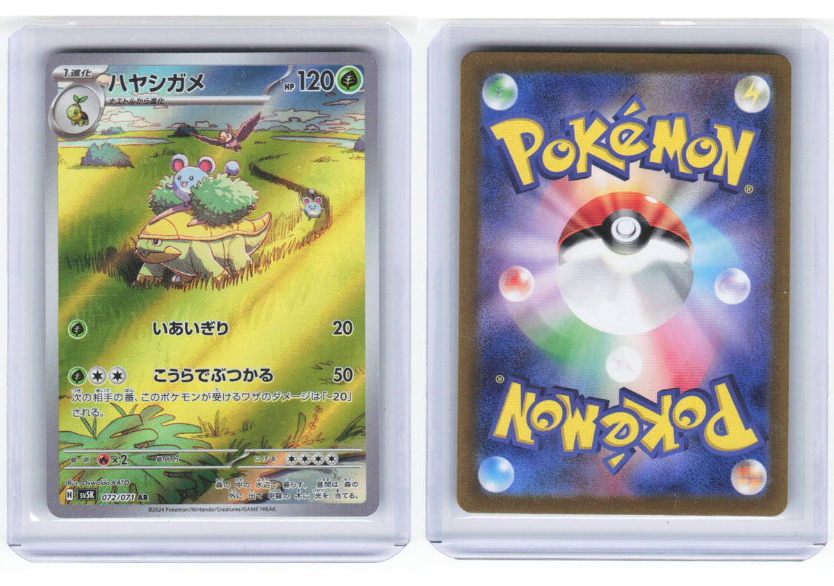 Chaos Sort CS-0330-024: forside og bakside