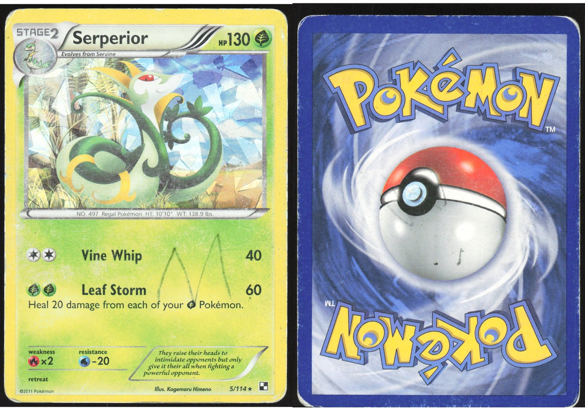 Serperior (Cracked Ice Holo) 005/114 - Deck Exclusives - LABOGE