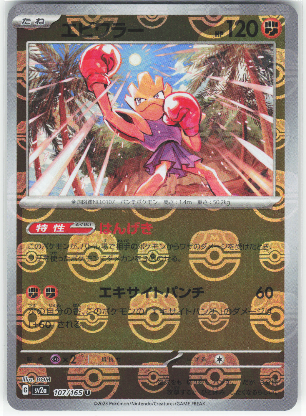 Chaos Sort CS-0335-023: forside
