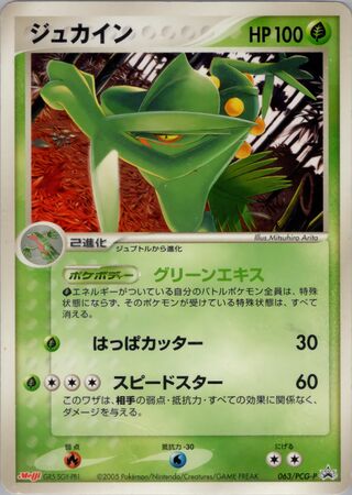 Sceptile - PCG Promos