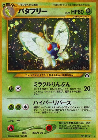 Butterfree No. 009 - Crossing the Ruins...