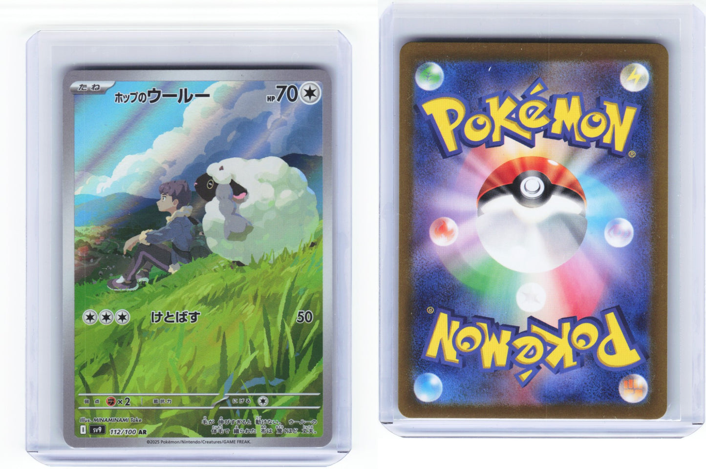 Hops Wooloo Battle Partners 112/100