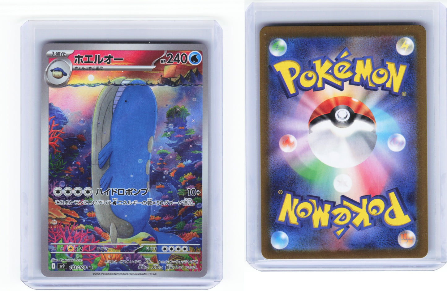 Wailord 103/100 - Battle Partners