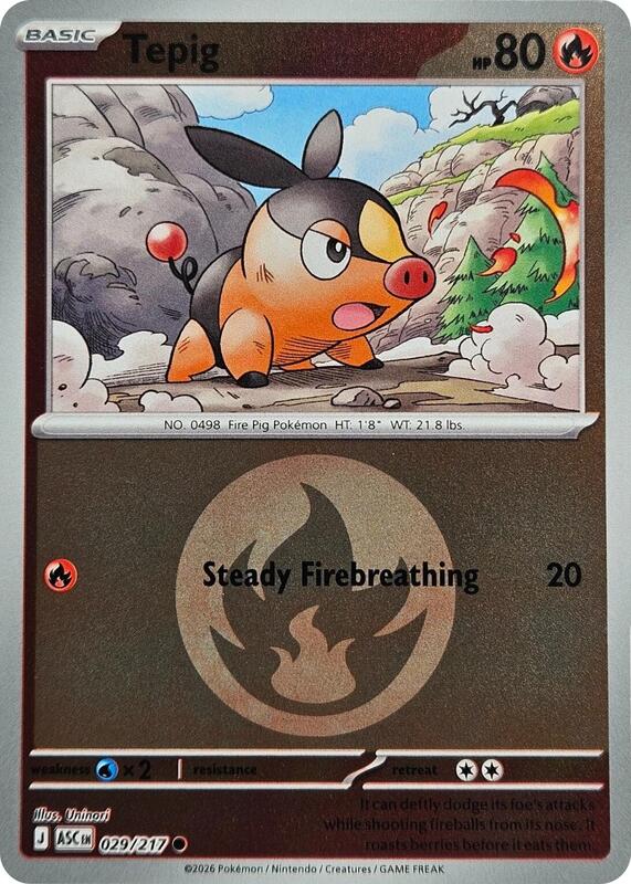Tepig 029/217 - Ascended Heroes