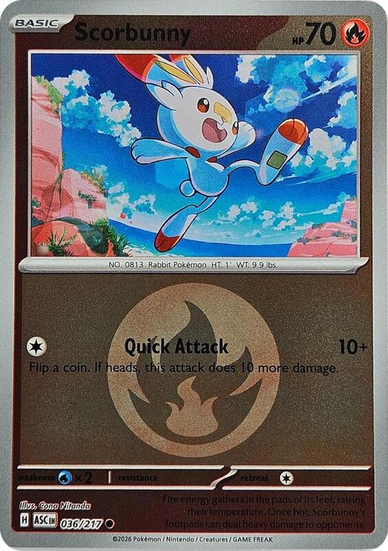 Scorbunny 036/217 - Ascended Heroes