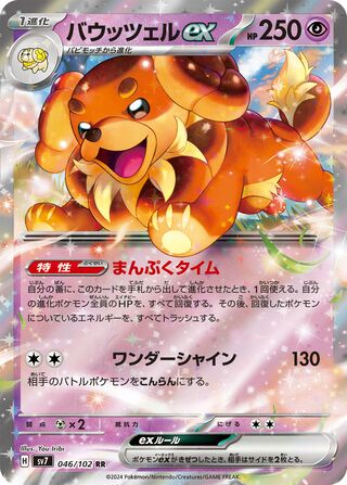 Dachsbun ex Stellar Miracle 046/102