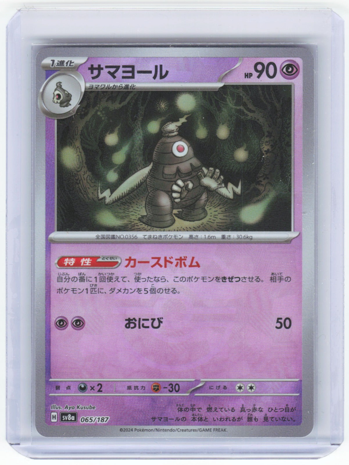 Chaos Sort CS-0335-011: forside