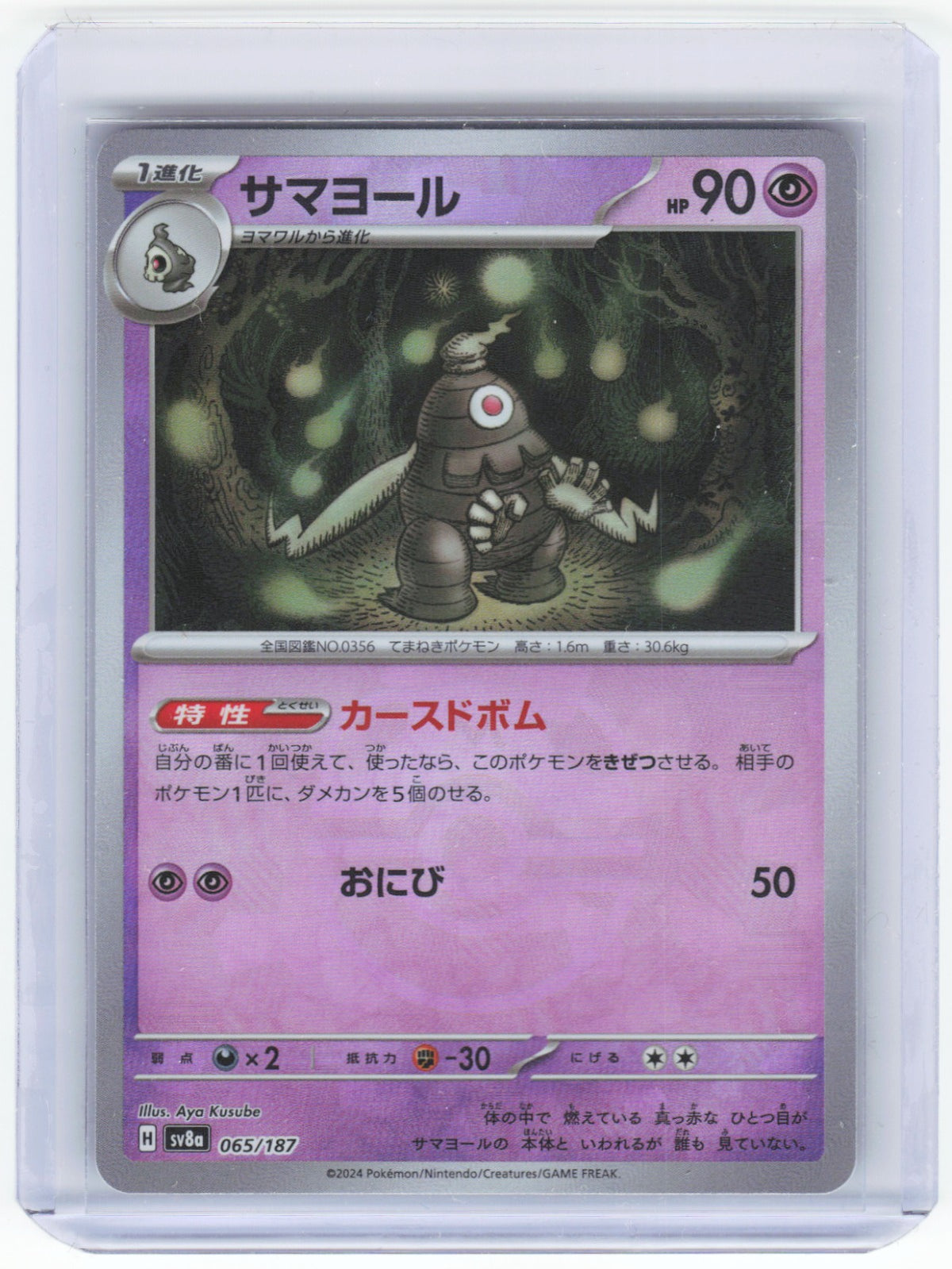 Chaos Sort CS-0335-011: forside