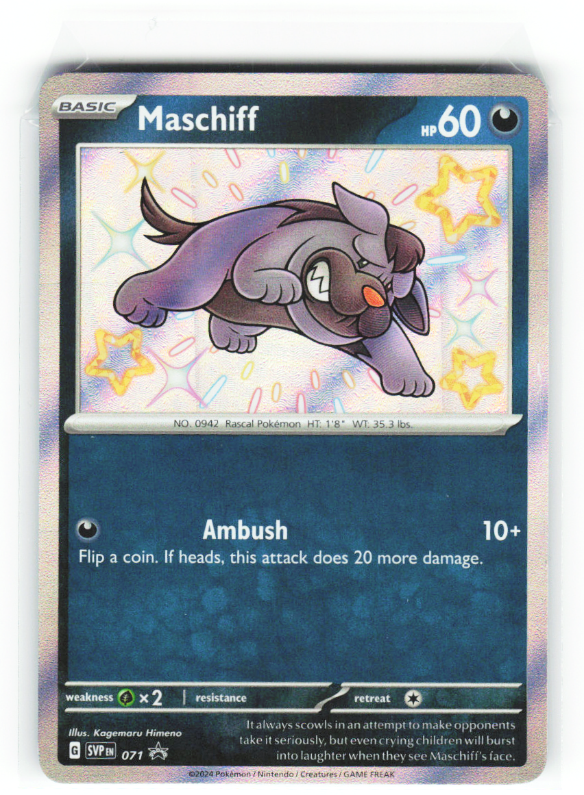 Maschiff 071 - Scarlet & Violet Promos