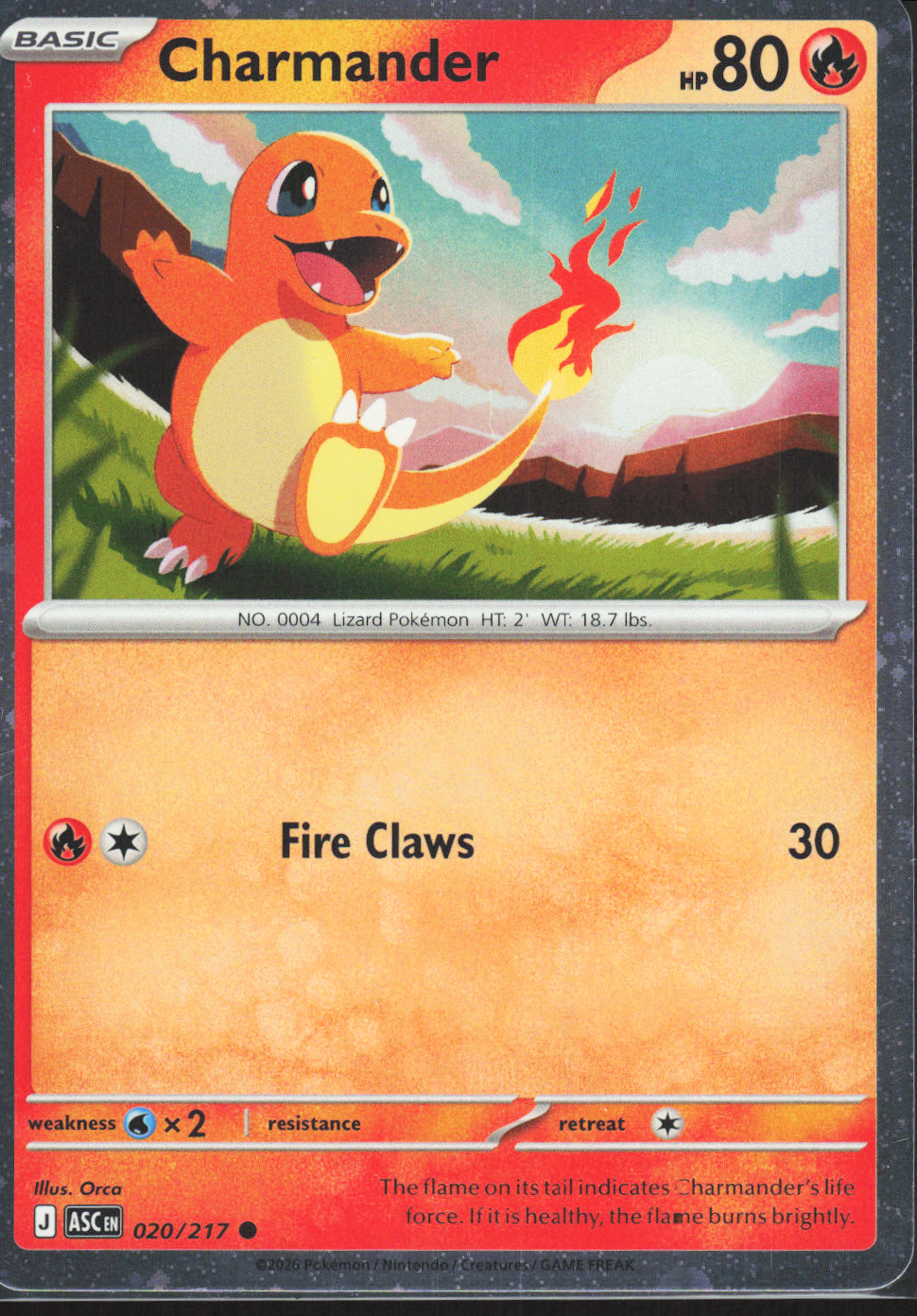 Chaos Sort CS-0304-056: forside