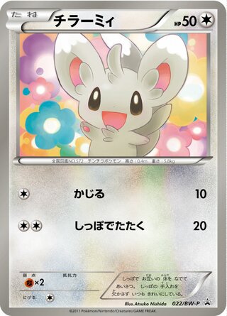 Minccino - Black & White Promos