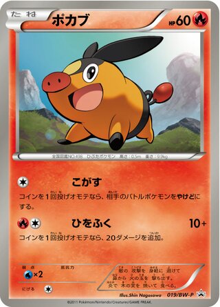 Tepig - Black & White Promos