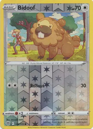 Bidoof 120/172 - Brilliant Stars