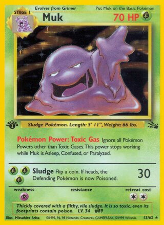 Muk 13/62 - Fossil