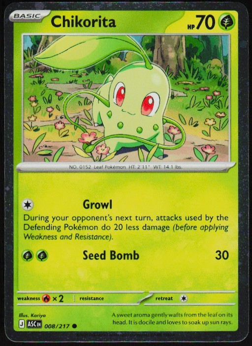 Chaos Sort CS-0641-023: forside