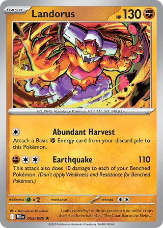 Landorus 053/086 - Black Bolt