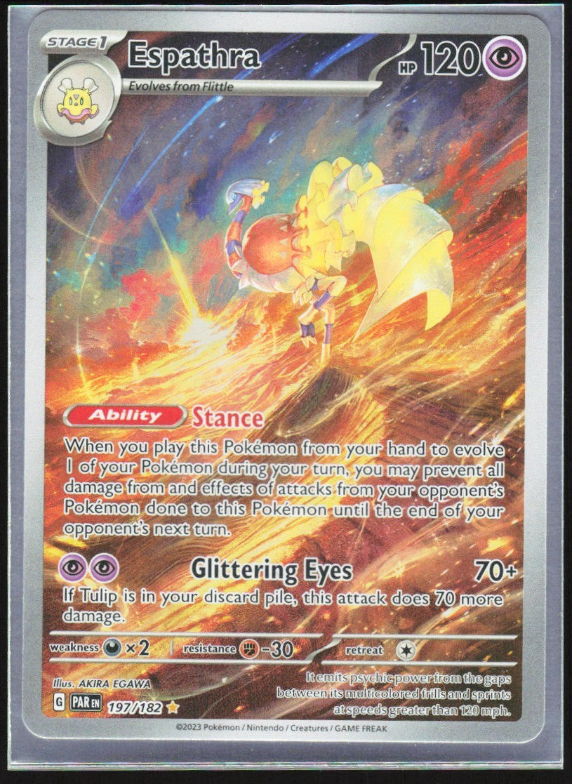 Chaos Sort CS-0528-001: forside