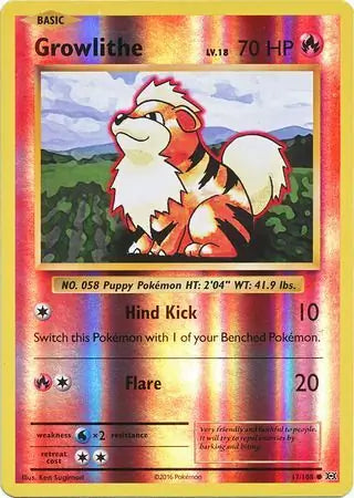Growlithe 17/108 - Evolutions