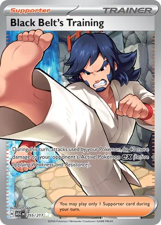 Black Belt's Training 255/217 - Ascended Heroes