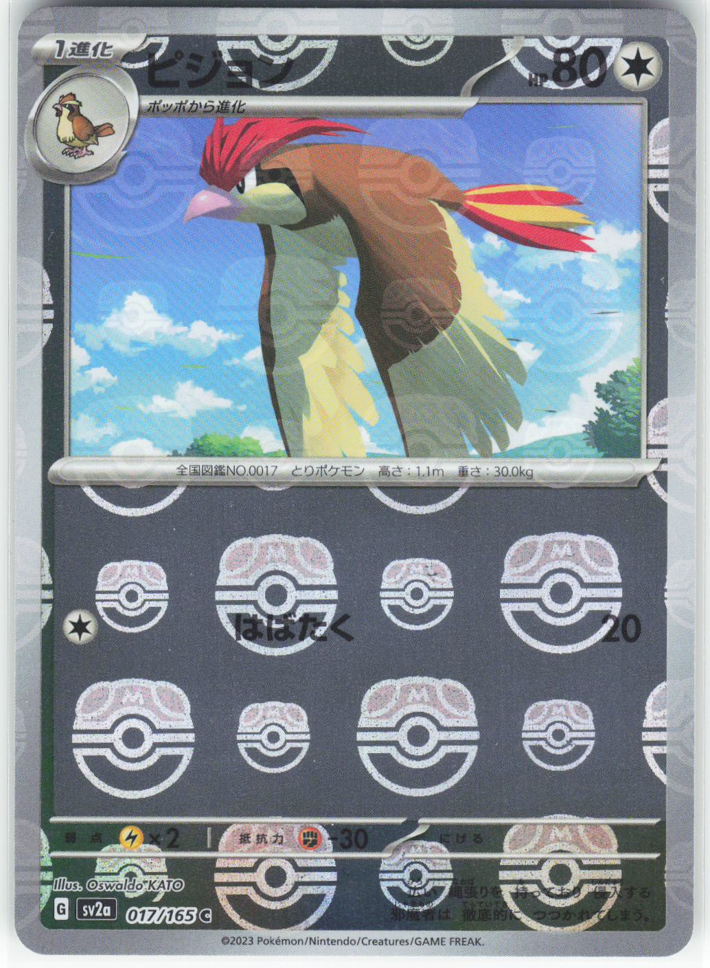 Chaos Sort CS-0335-025: forside