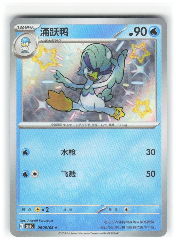Chaos Sort CS-0348-002: forside