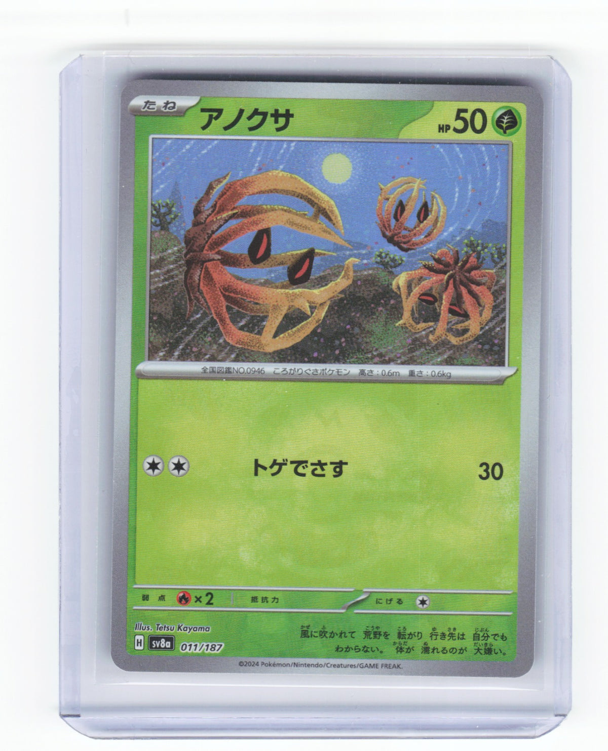 Chaos Sort CS-0335-007: forside