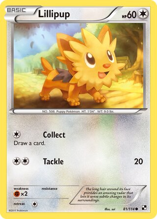Lillipup 81/114 - Bllack & White Base