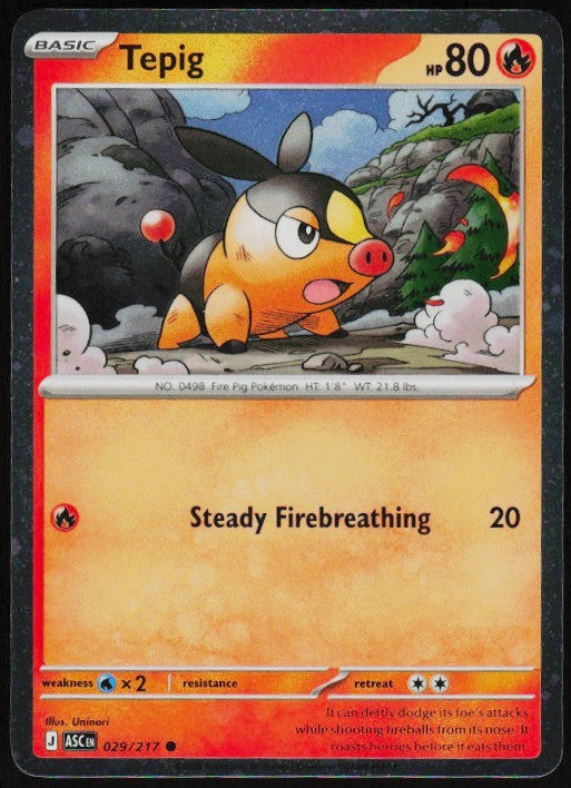 Chaos Sort CS-0641-022: forside