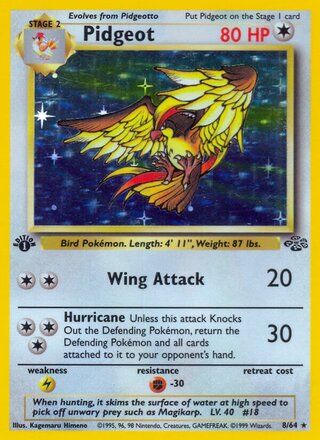 Pidgeot 8/64 - Jungle