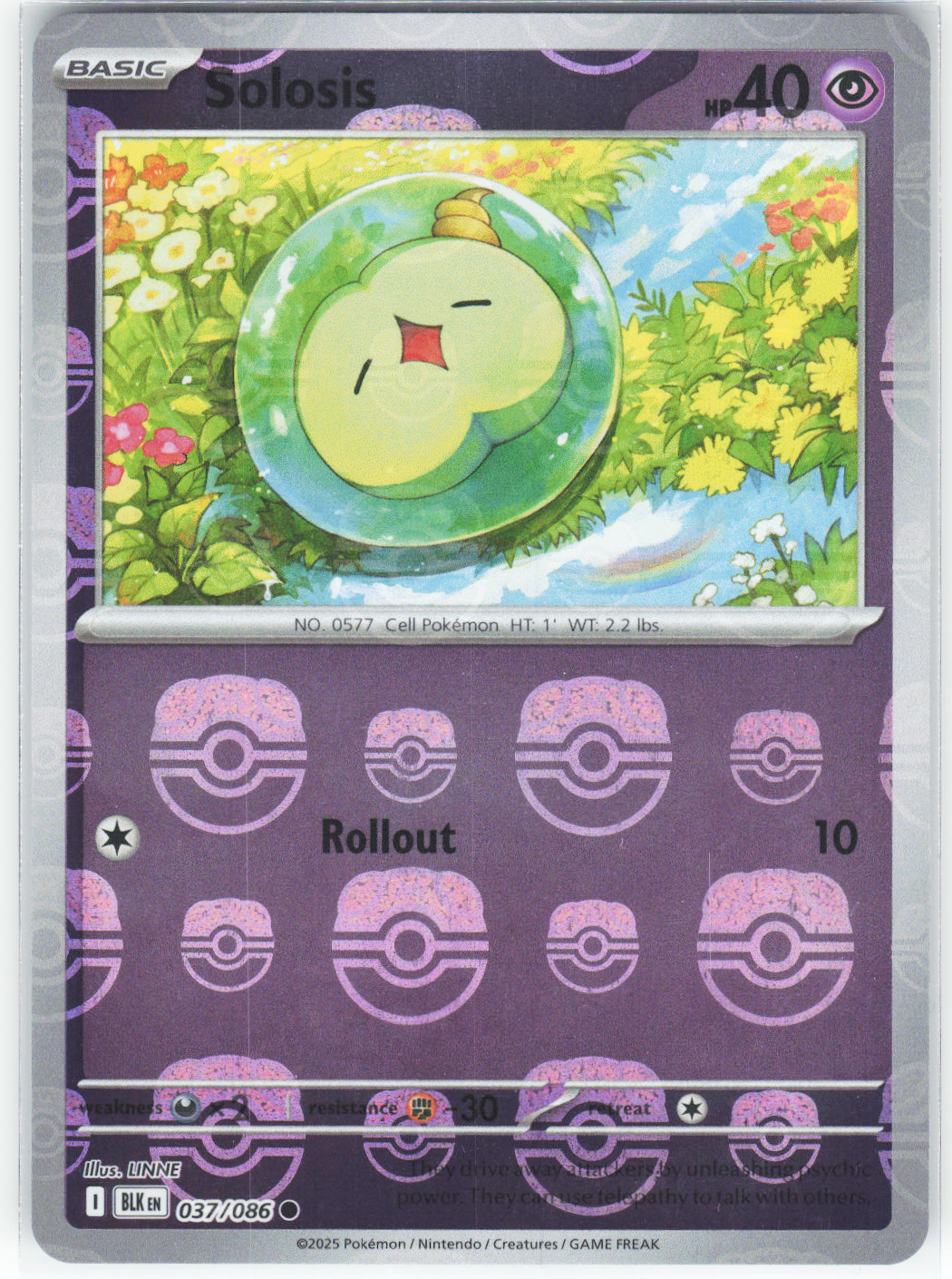 Chaos Sort CS-0318-033: forside