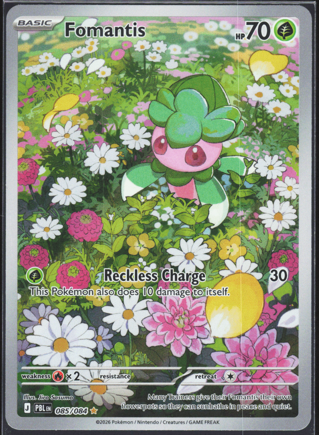 Chaos Sort CS-0280-040: forside