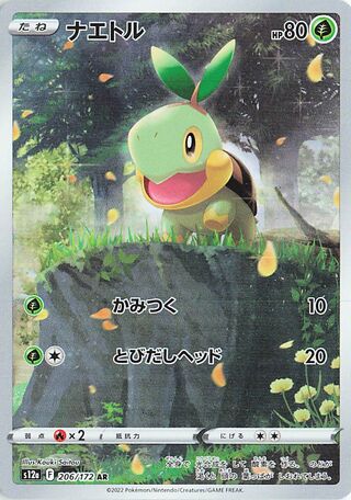 Turtwig VSTAR Universe 206/172