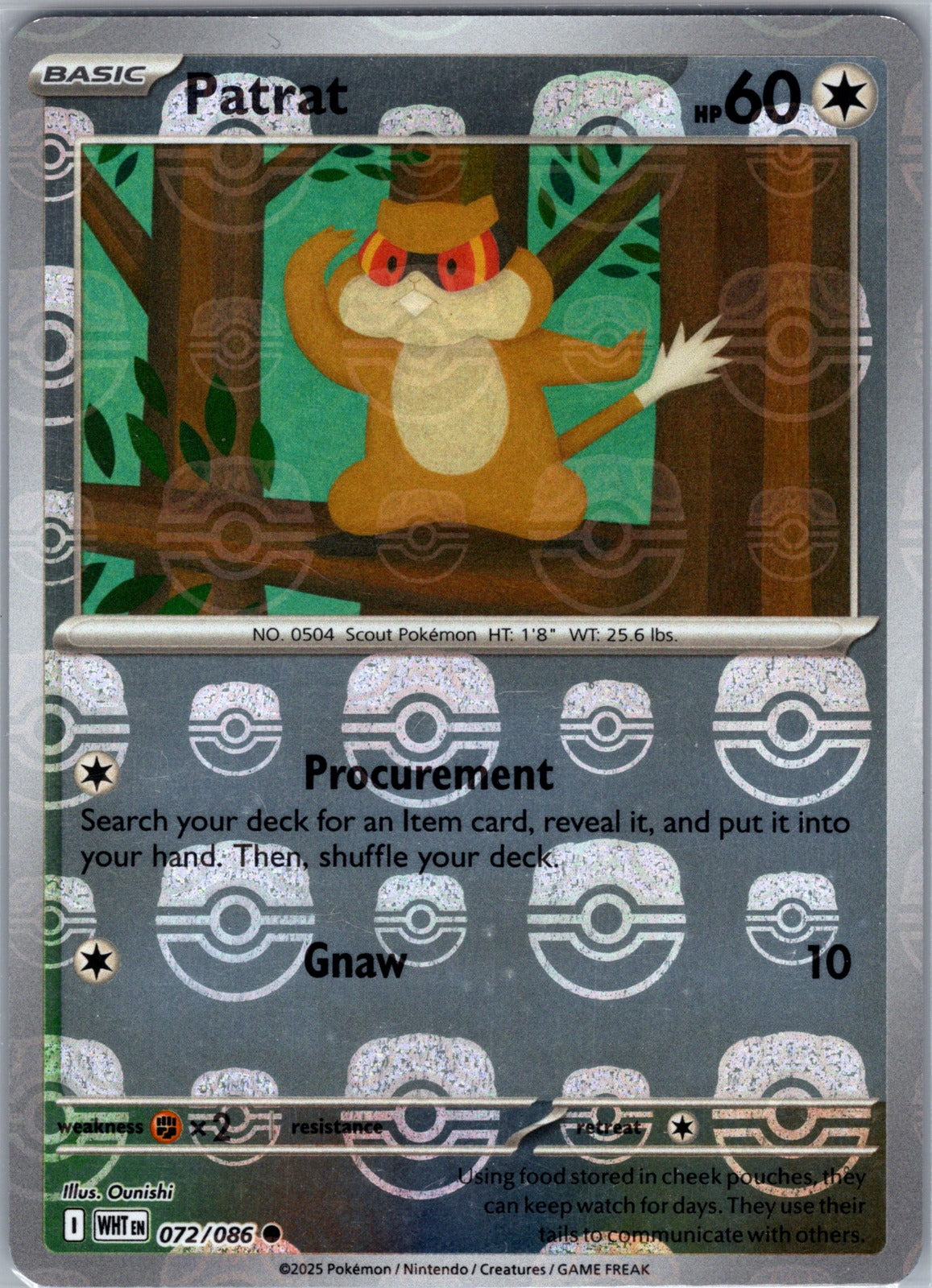 Chaos Sort CS-0318-025: forside
