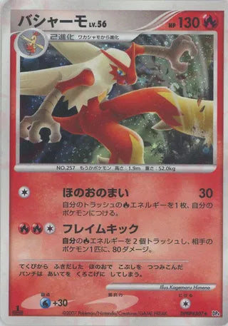 Blaziken No. 021 - Moonlit Pursuit & Dawn Dash