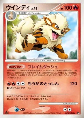 Arcanine No. 024 - Shining Darkness