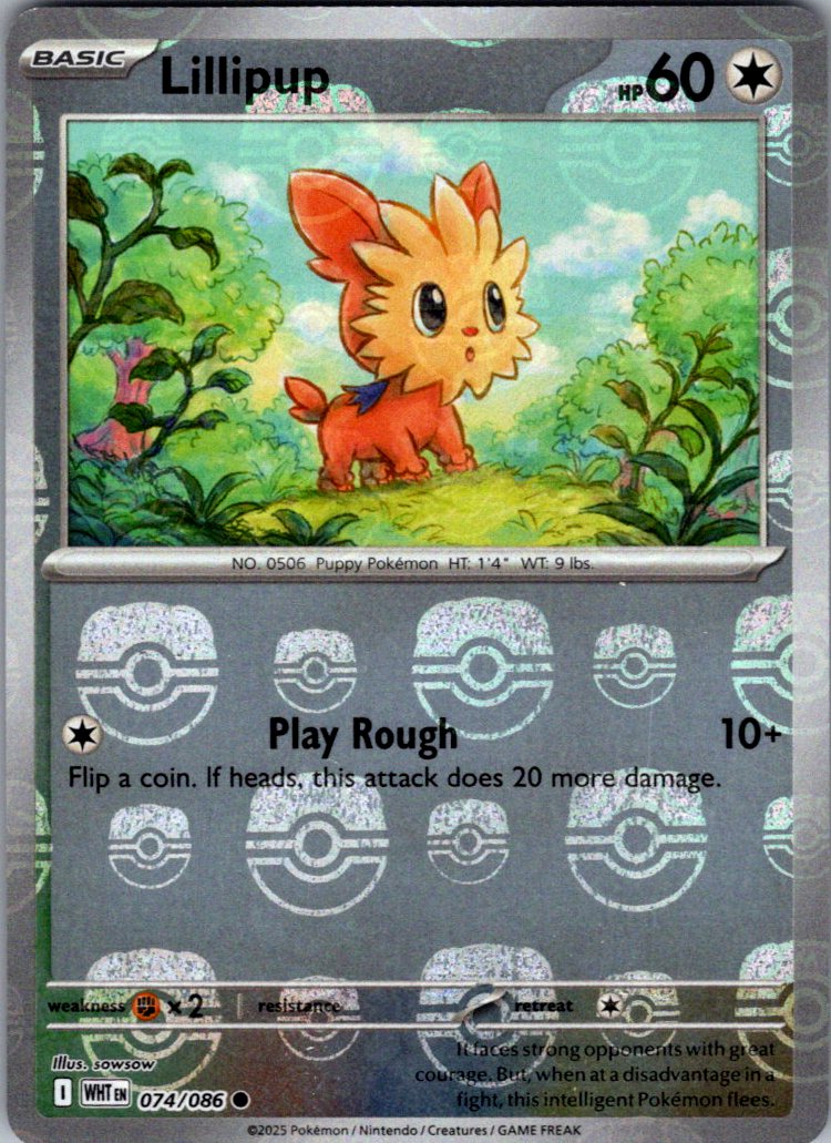 Chaos Sort CS-0318-018: forside