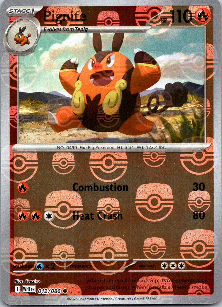 Chaos Sort CS-0318-001: forside