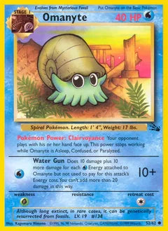 Omanyte 52/62 - Fossil