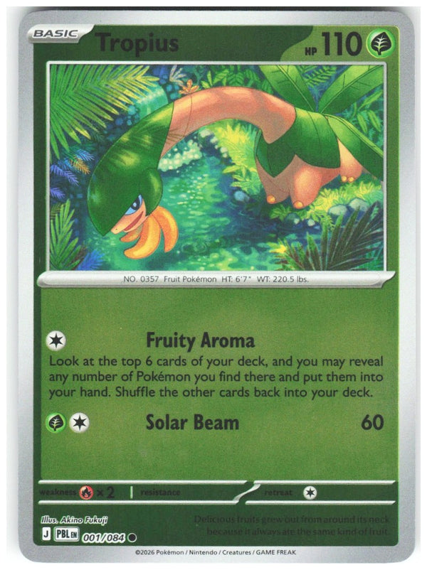 Chaos Sort CS-0363-011: forside