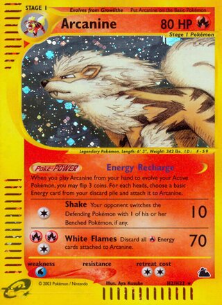 Arcanine H2/H32 - Aquapolis